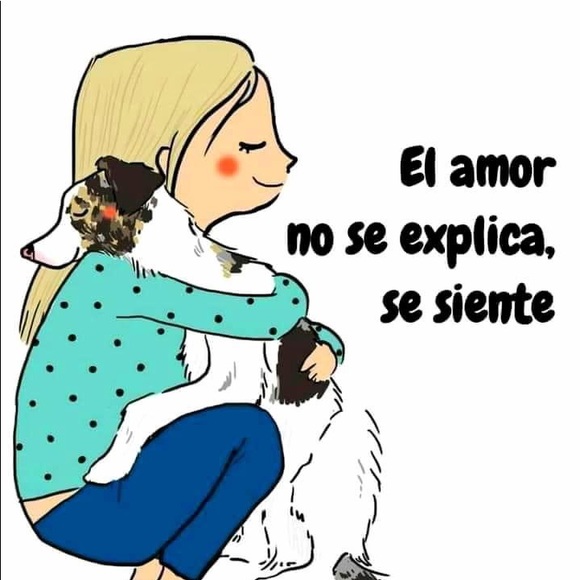 Monogram LV insert - Picture 4 of 4